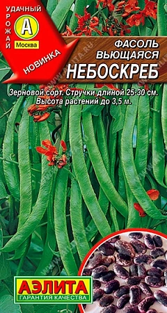 Фасоль вьющаяся Небоскреб 5 г (АЭЛИТА) Фасоль вьющаяся Небоскреб 5 г (АЭЛИТА)