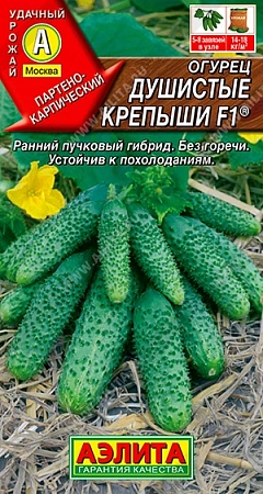 Огурец Душистые крепыши F1, 10 шт (Аэлита) Огурец Душистые крепыши F1, 10 шт (Аэлита)