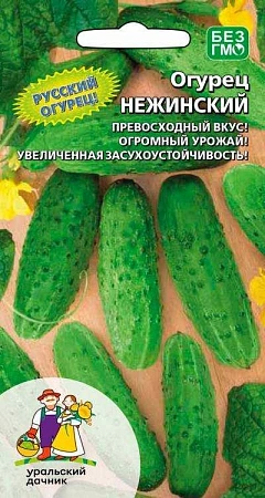 Огурец Нежинский 12 (УД)