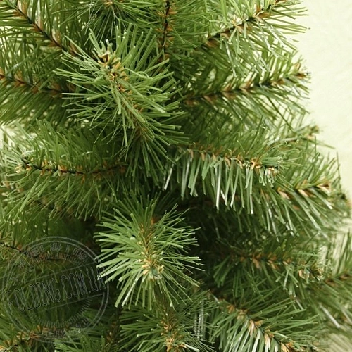 Ель Неоклассик 0.55 - 2,2 м Ель Неоклассик 0.55 - 2,2 м