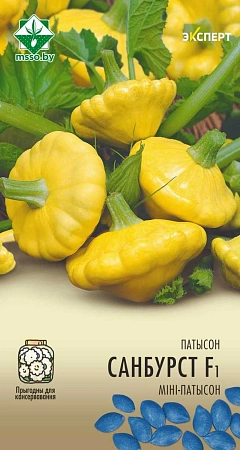 Патиссон Санбурст F1, 5 шт (Эксперт) (МССО)