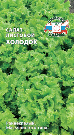 Салат листовой Холодок, 0,5 г (СеДек) Салат листовой Холодок, 0,5 г (СеДек)