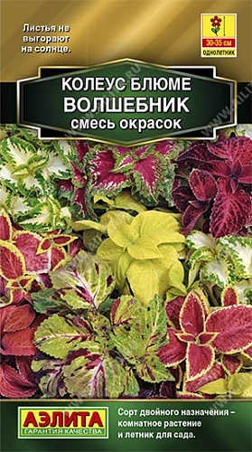 Колеус блюме Волшебник, смесь 10 шт (АЭЛИТА) Колеус блюме Волшебник, смесь 10 шт (АЭЛИТА)