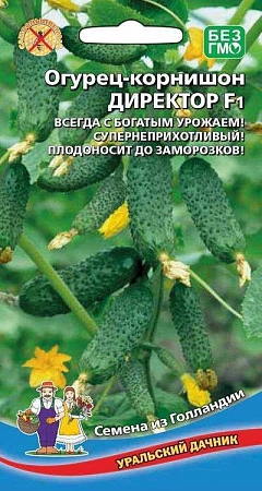 Огурец Директор F1 (УД)
