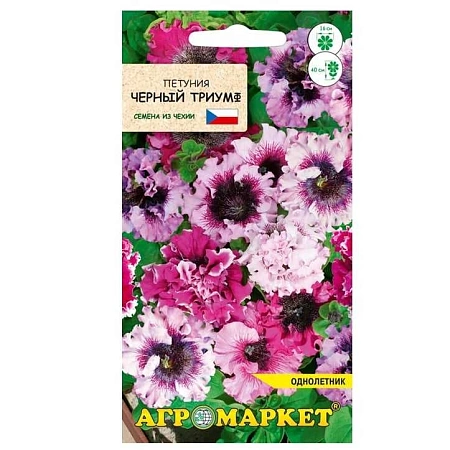 Петуния Черный триумф, 7 шт (Агромаркет)