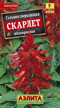 Сальвия сверкающая Скарлет, 0,1 г Сальвия сверкающая Скарлет, 0,1 г