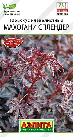 Гибискус Махогани сплендер, 3 шт (АЭЛИТА) Гибискус Махогани сплендер, 3 шт (АЭЛИТА)