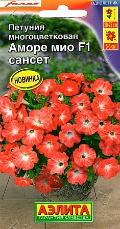 Петуния Аморе Мио F1 сансет 7 шт Петуния Аморе Мио F1 сансет 7 шт