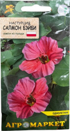 Настурция Салмон бэйби, 8 шт (Агромаркет)