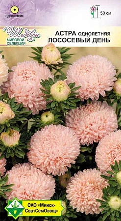 Астра Прекрасный день Лососевый день, 0,1 г (МССО) Астра Прекрасный день Лососевый день, 0,1 г (МССО)