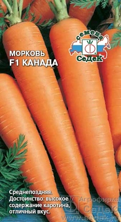 Морковь Канада 100 шт