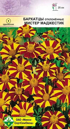 Бархатцы Мистер Маджестик 0,15 г отклоненные (МССО) Бархатцы Мистер Маджестик 0,15 г отклоненные (МССО)