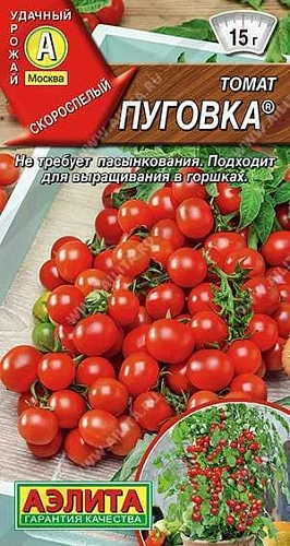 Томат Пуговка, 20 шт Томат Пуговка, 20 шт