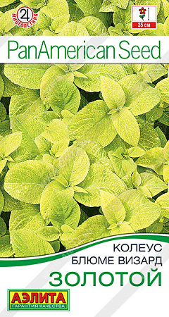 Колеус блюме Золотой, 5 шт (Аэлита)