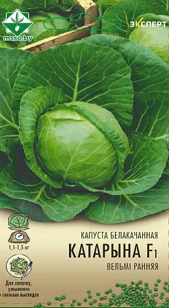Капуста белокочанная Катарина F1, 12 шт (МССО) Капуста белокочанная Катарина F1, 12 шт (МССО)