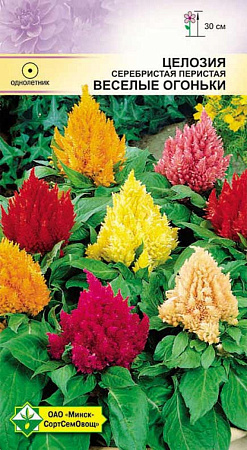 Целозия перистая Веселые огоньки, смесь 0,2 г (МССО) Целозия перистая Веселые огоньки, смесь 0,2 г (МССО)