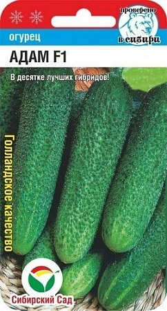 Огурец Адам F1, 5 шт Огурец Адам F1, 5 шт