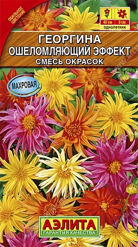 Георгина Ошеломляющий эффект, смесь 10 шт Георгина Ошеломляющий эффект, смесь 10 шт