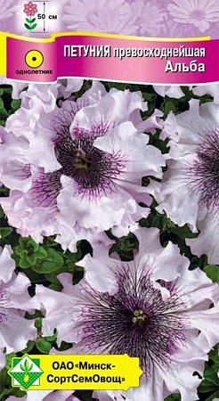 Петуния гибридная превосходнейшая Альба, 7 шт (МССО) Петуния гибридная превосходнейшая Альба, 7 шт (МССО)