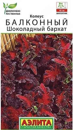 Колеус балконный Шоколадный бархат, 5 шт (Аэлита)