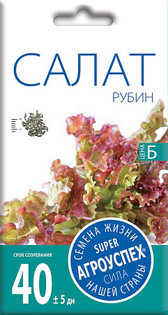 Салат Рубин, 1 г (Агроуспех) Салат Рубин, 1 г (Агроуспех)