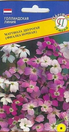 Маттиола Ночная фиалка двурогая однолетник, 0,1 г (Престиж)