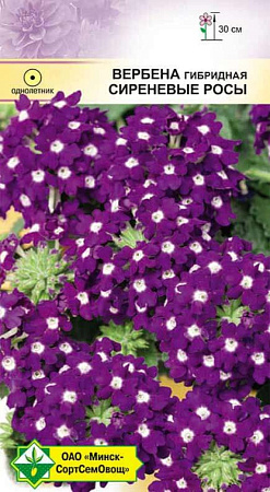 Вербена гибридная Сиреневые росы, 0,1 г (МССО) Вербена гибридная Сиреневые росы, 0,1 г (МССО)