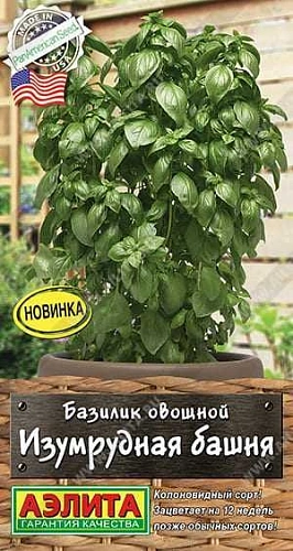 Базилик овощной Изумрудная башня, 10 шт (АЭЛИТА) Базилик овощной Изумрудная башня, 10 шт (АЭЛИТА)