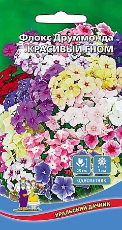 Флокс друммонда Красивый гном (УД) Флокс друммонда Красивый гном (УД)