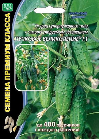 Огурец Пучковое великолепие F1, 5 шт (УД)
