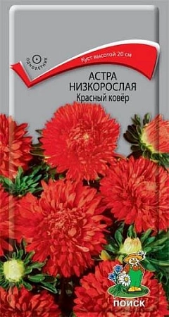 Астра низкорослая Красный ковер 0,2 г