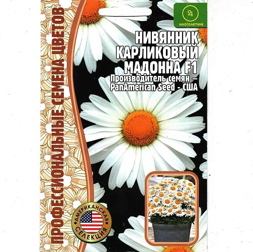 Нивянник карликовый Мадонна F1 PanAmerican Seed многолетник, 5 шт (Ред.сем) Нивянник карликовый Мадонна F1 PanAmerican Seed многолетник, 5 шт (Ред.сем)