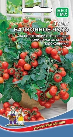 Томат Балконное чудо (УД)