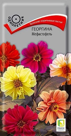 Георгина Мефистофель, 0,2 г (Поиск) Георгина Мефистофель, 0,2 г (Поиск)