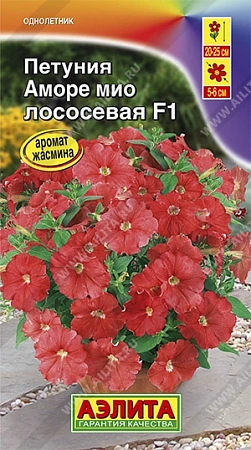 Петуния Аморе Мио лососевая F1