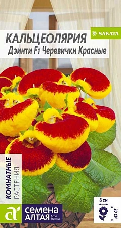 Кальцеолярия Дэинти Черевички красные, 5 шт Кальцеолярия Дэинти Черевички красные, 5 шт