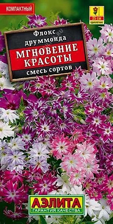 Флокс Мгновение красоты, смесь 0,1 г Флокс Мгновение красоты, смесь 0,1 г
