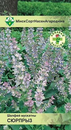 Шалфей мускатный Сюрприз 0,2 г (МССО) Шалфей мускатный Сюрприз 0,2 г (МССО)