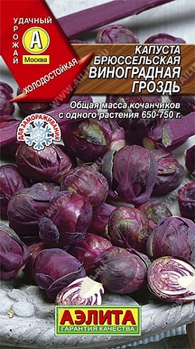 Капуста брюссельская Виноградная гроздь 0,1 г (АЭЛИТА) Капуста брюссельская Виноградная гроздь 0,1 г (АЭЛИТА)