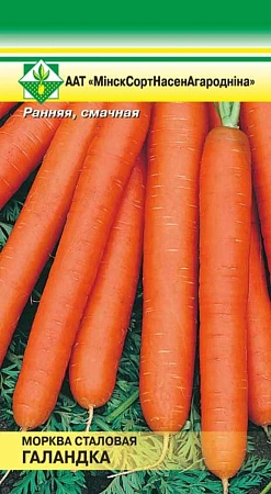 Морковь Голландка столовая, 1 г (МССО)