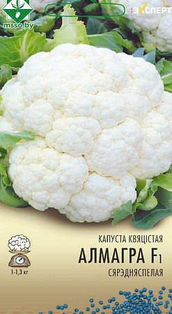 Капуста цветная Алмагро F1, 12 шт (Эксперт) (МССО)