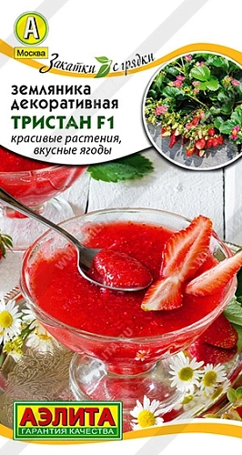 Земляника Тристан F1, 5 шт Земляника Тристан F1, 5 шт