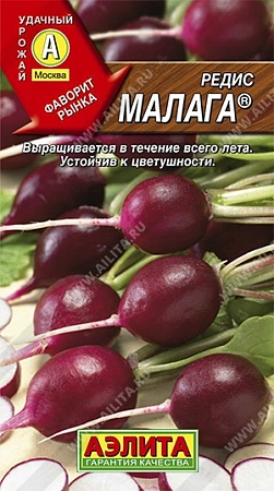 Редис Малага, 2 г Редис Малага, 2 г