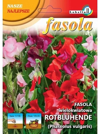 Фасоль Ротблюхенде зерновая, 20 г (LOBELIA II) Фасоль Ротблюхенде зерновая, 20 г (LOBELIA II)
