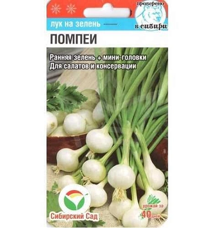 Лук батун Помпеи 0,5 г (Сиб Сад)