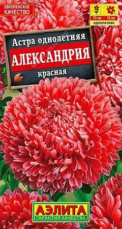 Астра Александрия красная 0,1 г Астра Александрия красная 0,1 г