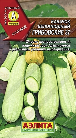 Кабачок белоплодный Грибовские 37, 8 шт (АЭЛИТА)
