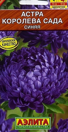 Астра Королева сада синяя 0,2 г (АЭЛИТА) Астра Королева сада синяя 0,2 г (АЭЛИТА)