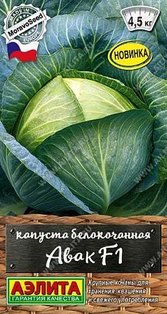 Капуста белокочанная Авак F1, 0,1 г (АЭЛИТА) Капуста белокочанная Авак F1, 0,1 г (АЭЛИТА)