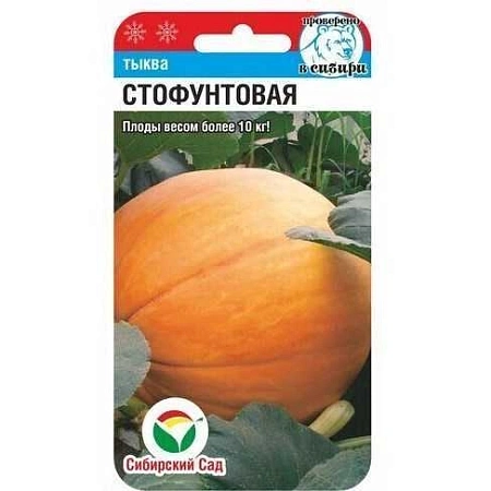 Тыква Стофунтовая 5шт (Сиб сад)